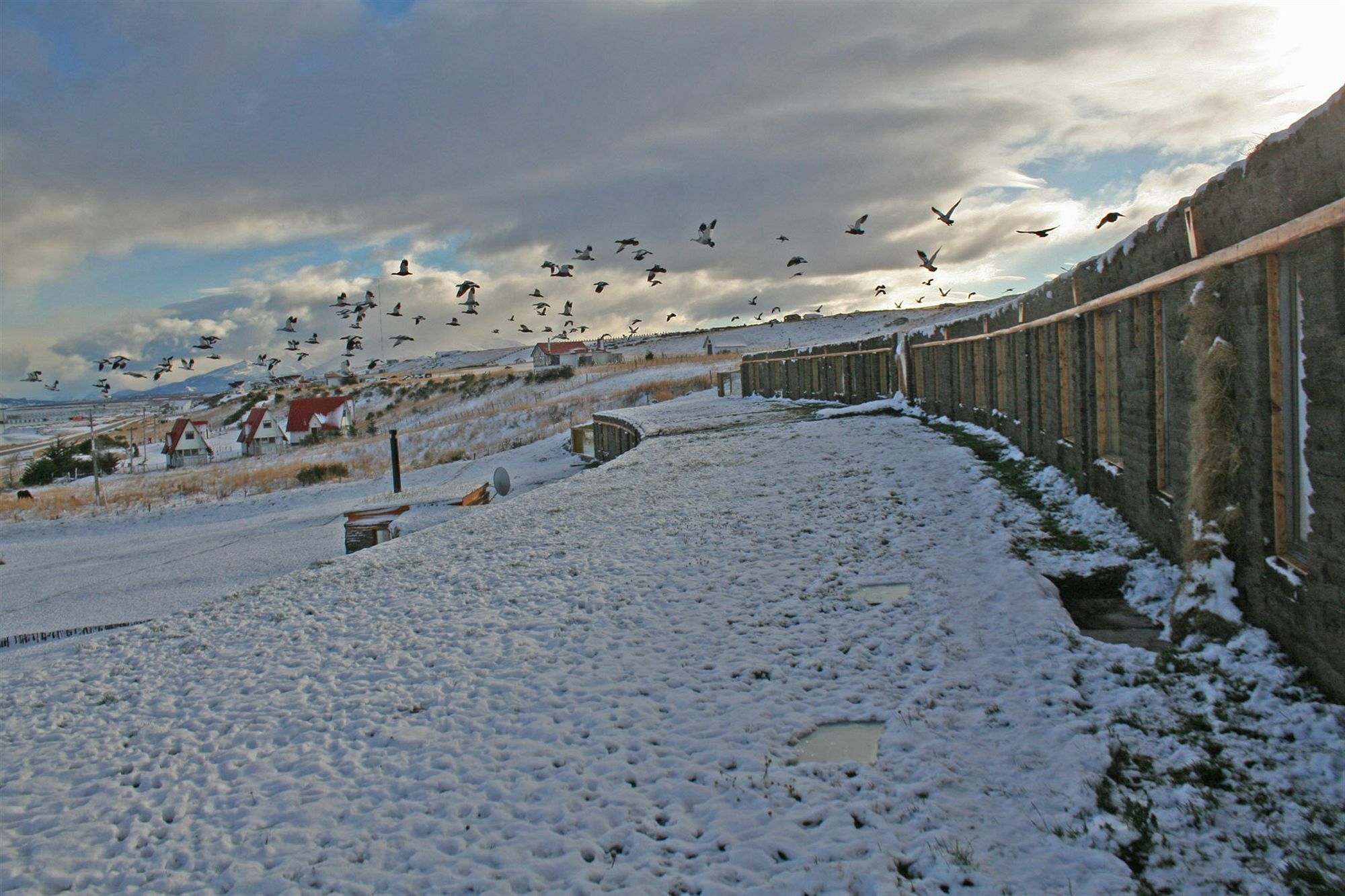 Hotel Altiplanico Puerto Natales Bagian luar foto
